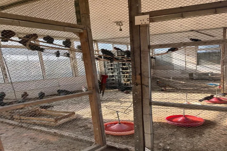 "Fədək" restoranına da növbə çatdı -