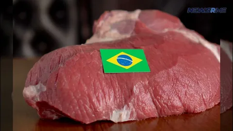 Yaponiya Braziliya mal ətinin sanitariya