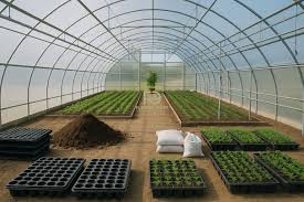 Kənd təsərrüfatı tikintilərinə 