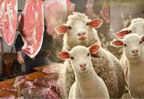 2025-ci ildə Azərbaycan bu qədər 