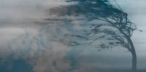 Bakıda küləyin güclənəcəyi ilə bağlı 