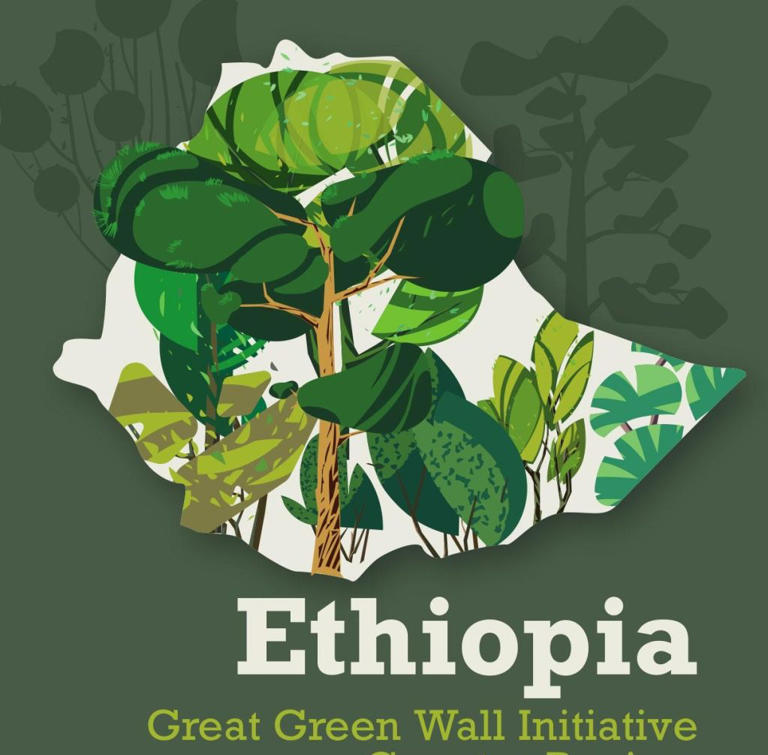 Efiopiyanın iqlimə uyğun kənd təsərrüfatı siyasəti 