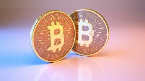 Bitcoin bu gün: 66 min dolların