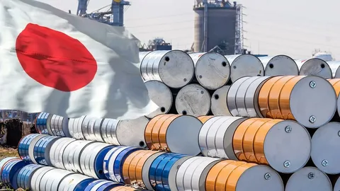 Yaponiya Azərbaycandan 