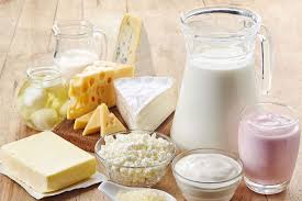 Süd məhsullarının 