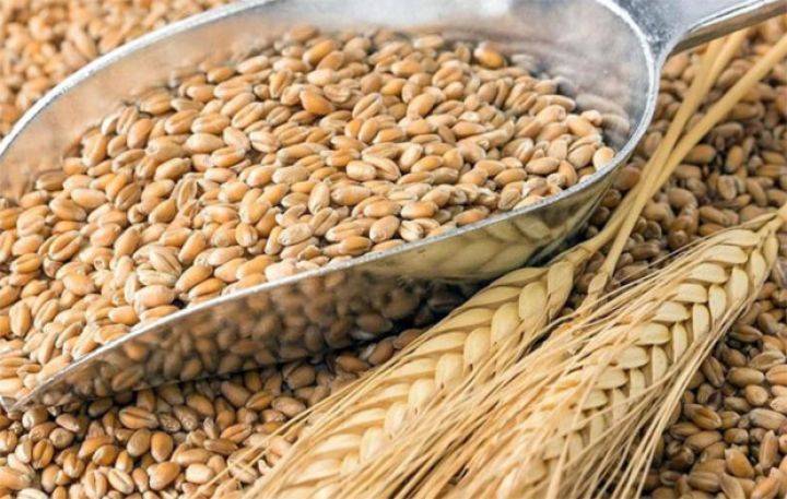 Buğda  qiymətləri 3 həftəlik 