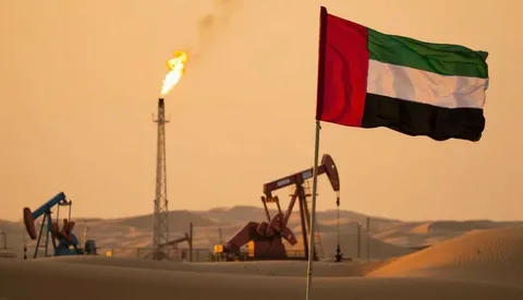 Birləşmiş Ərəb Əmirlikləri OPEC və OPEC+ 