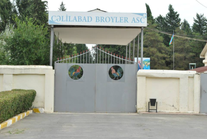 "Cəlilabad Broyler" ASC 2025-ci ili