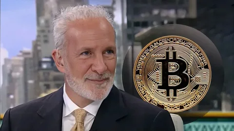 Piter Şiff Bitcoin-in 20 min dollara düşəcəyini