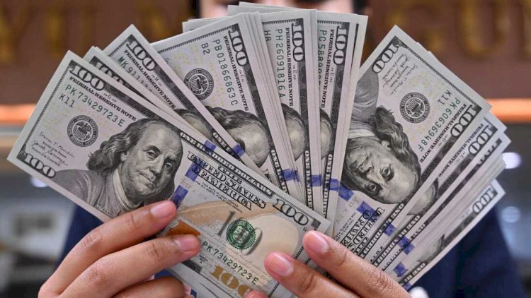 Nağd valyuta bazarında dolları 