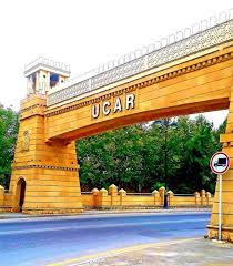 Ucarlıların banklara 