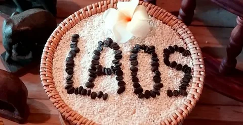 Laos qəhvənin ixracatında