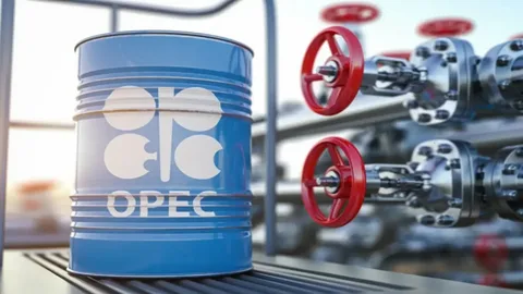 OPEC+ bu gün vacib neft 