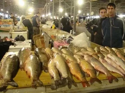 Bakıda balıq yarmarkası 