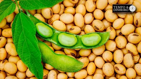 Tramp soya əkinçilərinə 