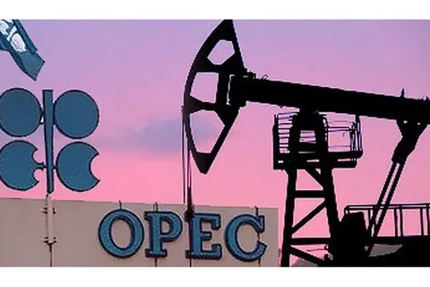 OPEC+ neft hasilatını 