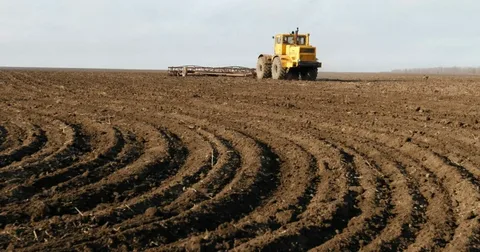 Böyük Britaniyada kənd təsərrüfatı zərərdə 