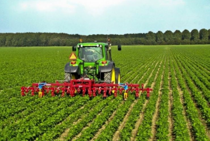 Aqrar sektorda maaşların artımı 