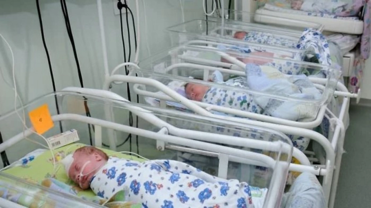 OECD: Doğum səviyyəsi ilə bağlı proqnozlar