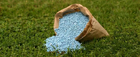 Mərakeş 2025-ci ildə Avropa İttifaqının ən böyük gübrə 