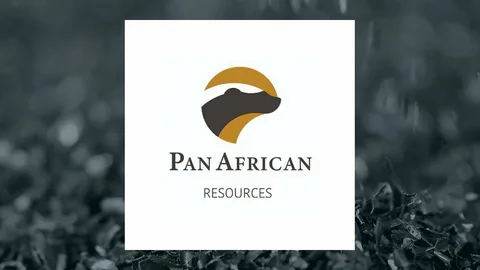 Pan African Resources qızıl hasilatının 51 faiz