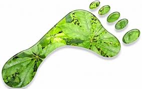 Dünyada ən böyük 