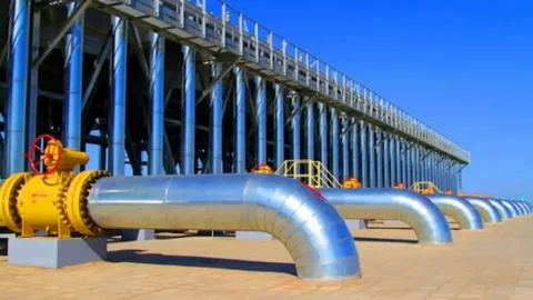 Qazaxıstanda təxminən bu qədər 