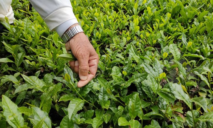 Səhv yazılmış vergülün möcüzəsi: 