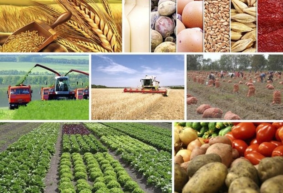 Dünyada ən çox yetişdirilən