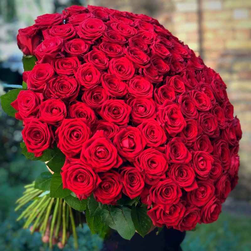 Azərbaycan qızılgülü 3,5 dollara alır,