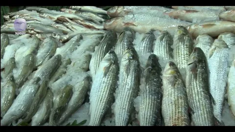 Azərbaycanın balıq bazarında qıtlıq 