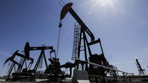 G7 ölkələrinin enerji nazirləri 