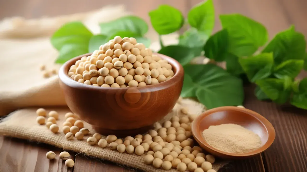 Soya qiymətləri son iki ilin 