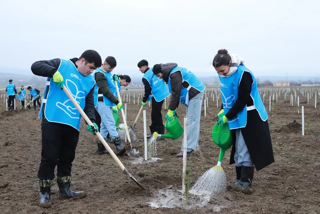 IDEA Şəki və Qəbələdə kütləvi ağacəkmə aksiyası