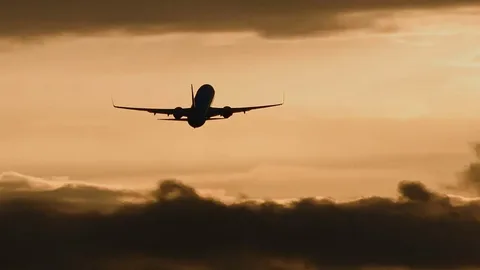 Flynas Hava Yollarının uçuşları planlaşdırılmış 