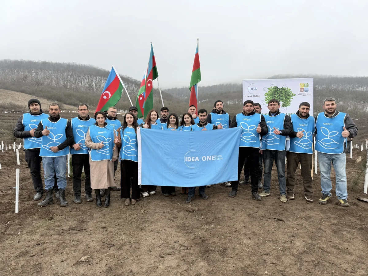 IDEA kütləvi ağacəkmə