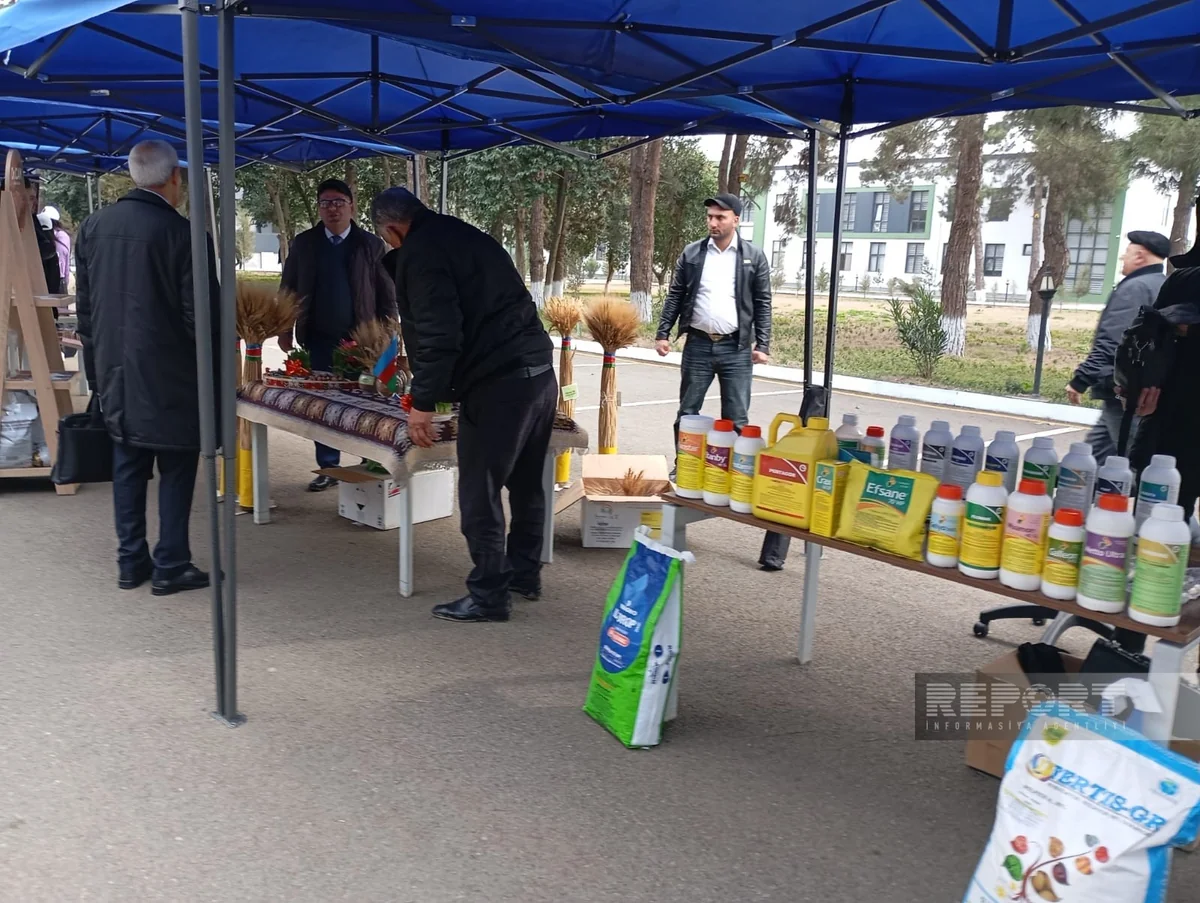 Cəlilabadda Aqrar Biznes Festivalı 