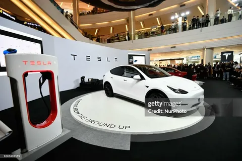 Teslanın elektrik avtomobilləri biznesi 