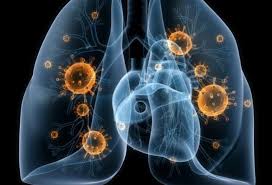  24 Mart – Ümumdünya Vərəmlə 