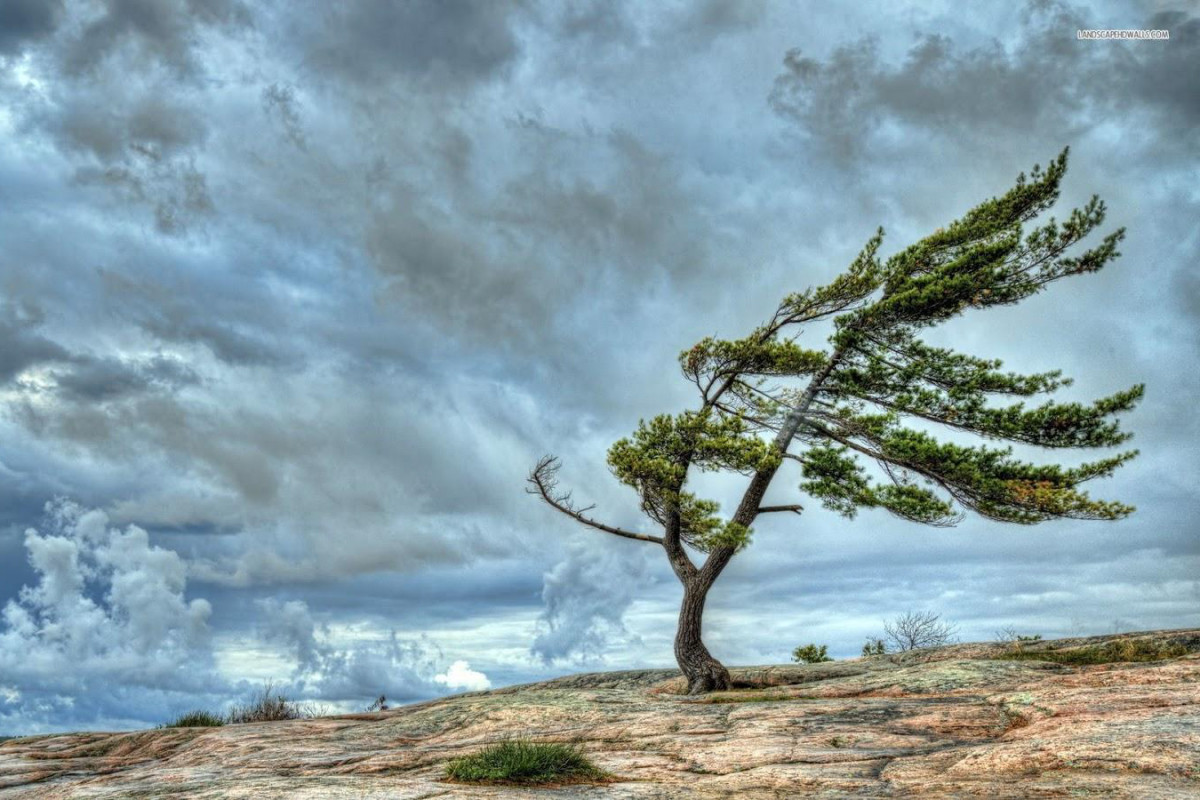 FHN əhaliyə xəbərdarlıq edib: 