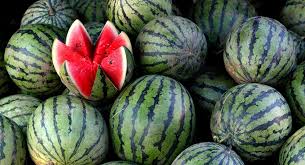 Qışın ortasında Braziliyadan  kiloqramı 