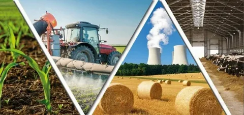 Dünya kənd təsərrüfatı məhsullarının qiymətlərinə 