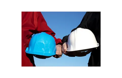 Dünyada cəmi 22 faiz insan iş yerini 