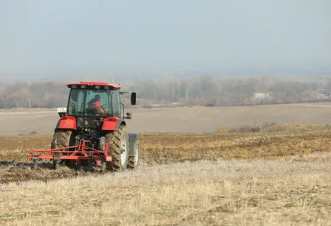 Azərbaycanda payızlıq əkinlərə görə subsidiya alanların sayı 