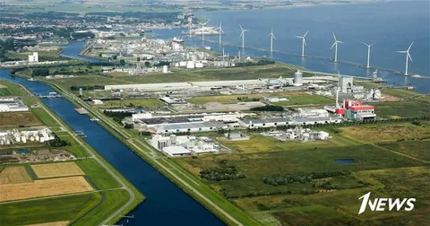 Niderland istehsalçıları yüksək inflyasiya təzyiqi