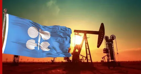 OPEC+ böhran fonunda neft hasilatını 