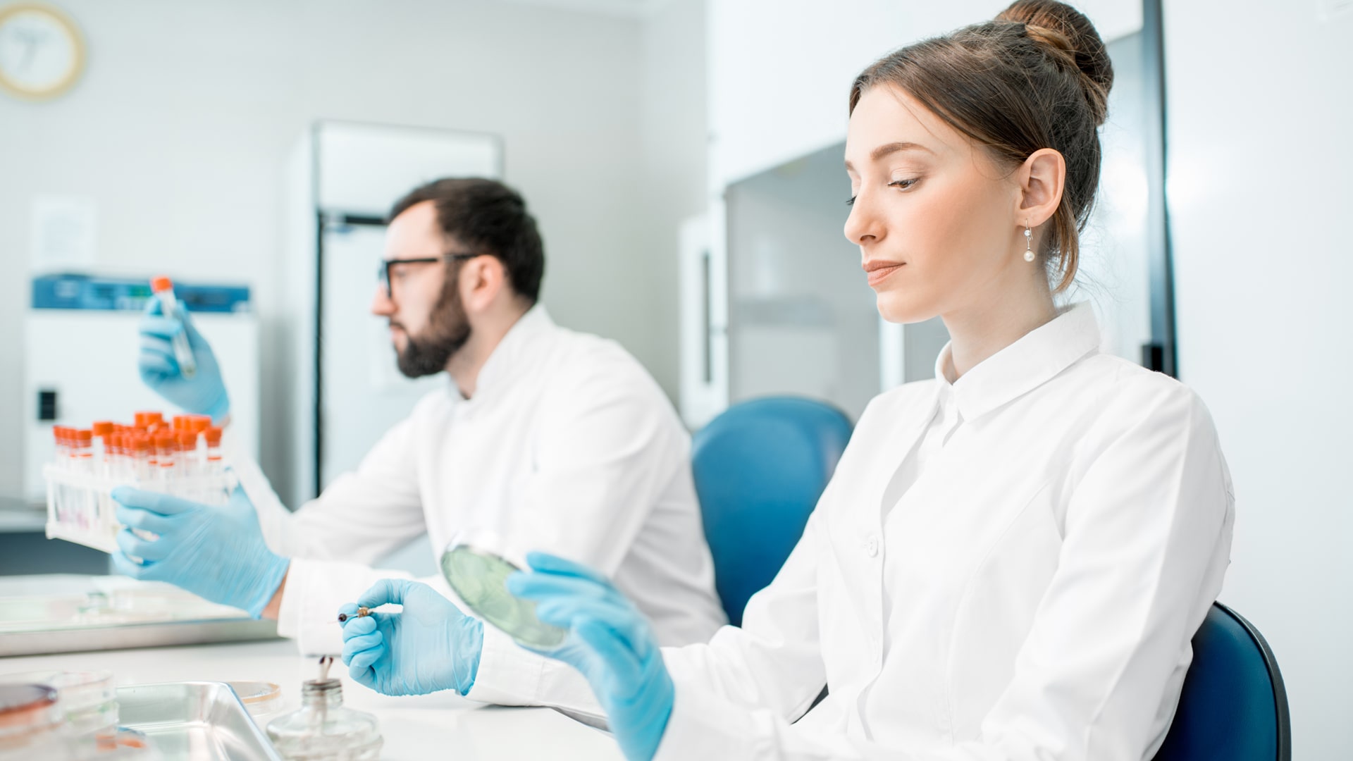 Elm və texnologiya maraq sırasında 