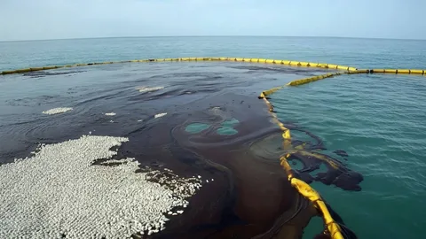 Qara dənizdə ekoloji fəlakət: