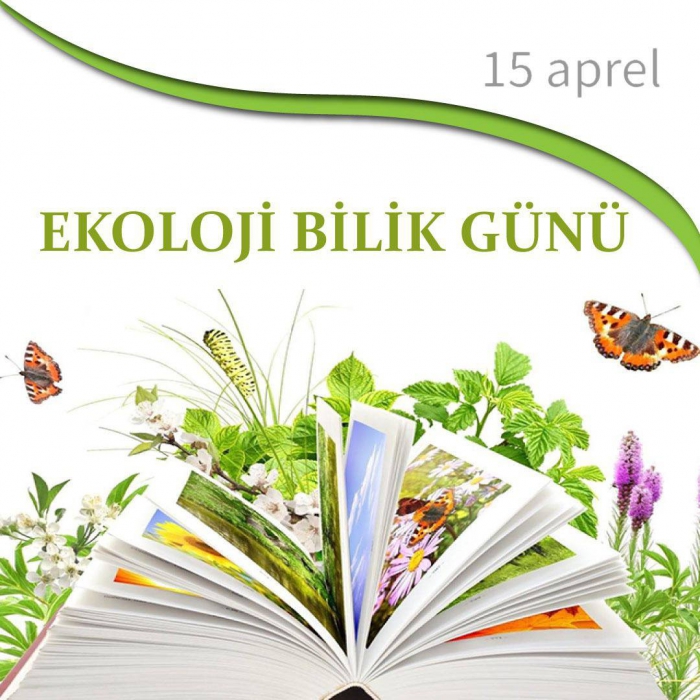 Bu gün dünyada Ekoloji Bilik