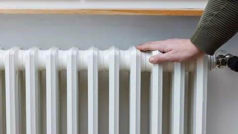 Azərbaycanda 2025-2026-cı illər payız-qış 